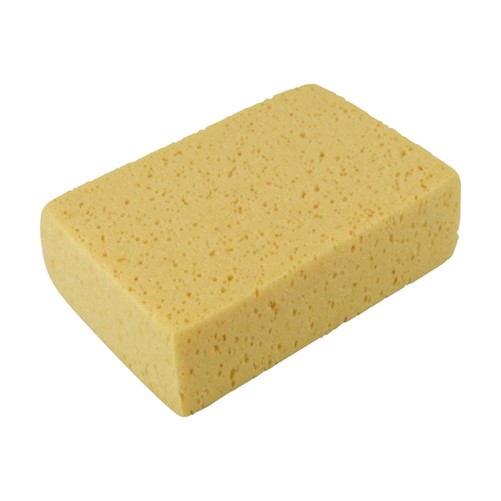 Protecton Spons