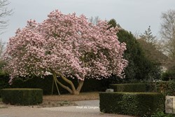 Voorjaar/Zomer